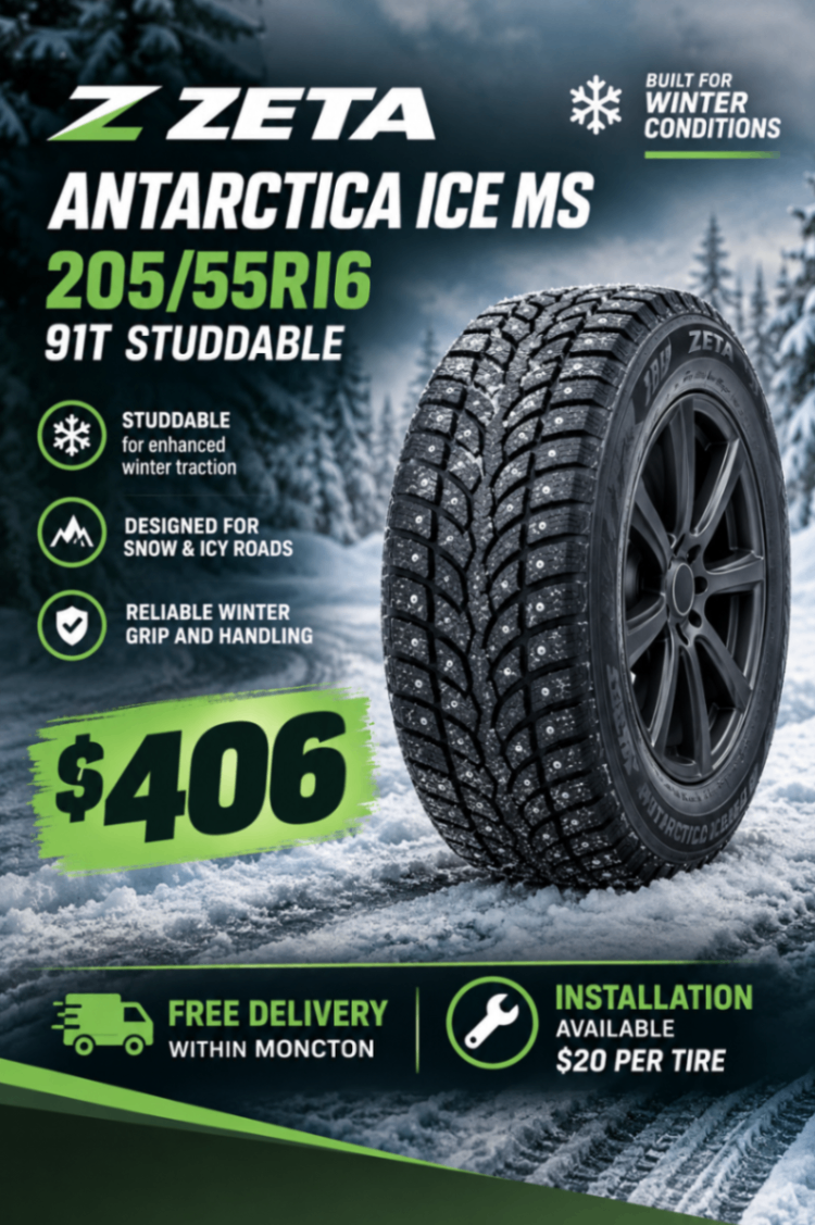 ❄️ 205/55R16 ZETA ANTARCTICA ICE MS 91T – STUDDABLE WINTER TIRES🛞