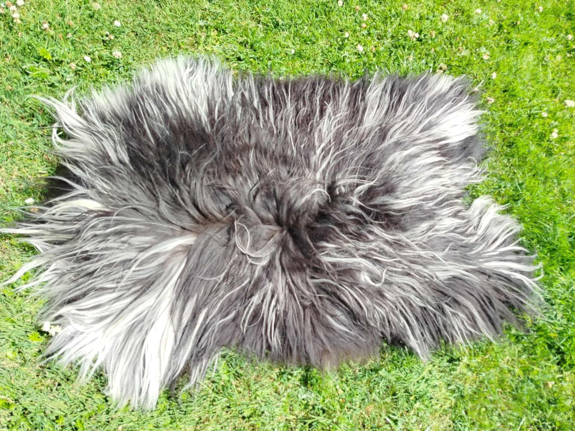 Heidschnucke Sheepskins, Premium Quality 2