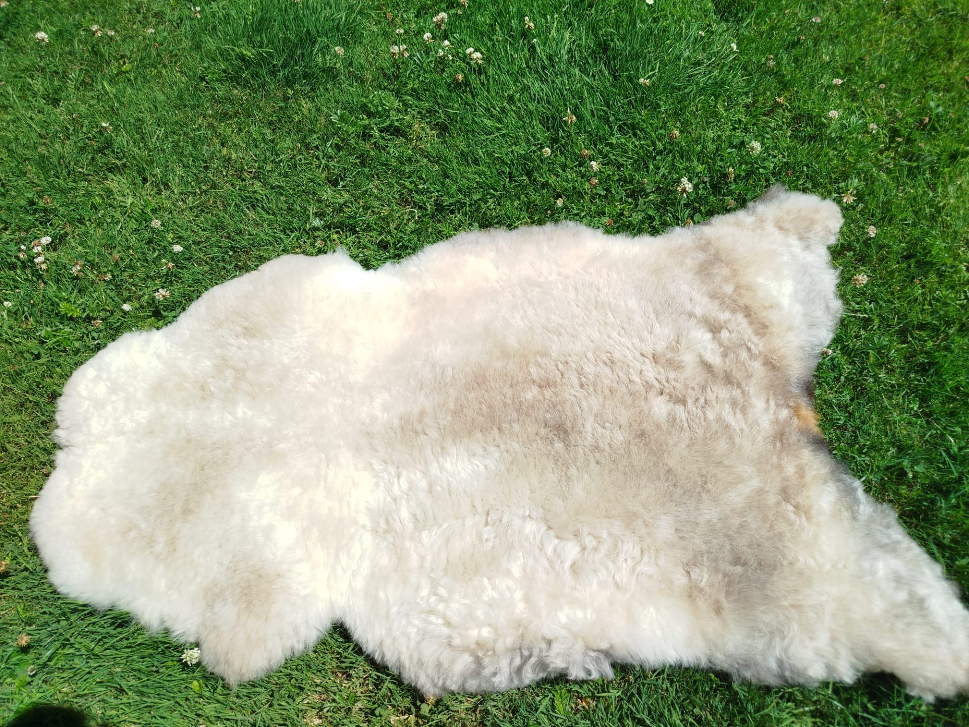 Premium Swedish Sheepskins 3